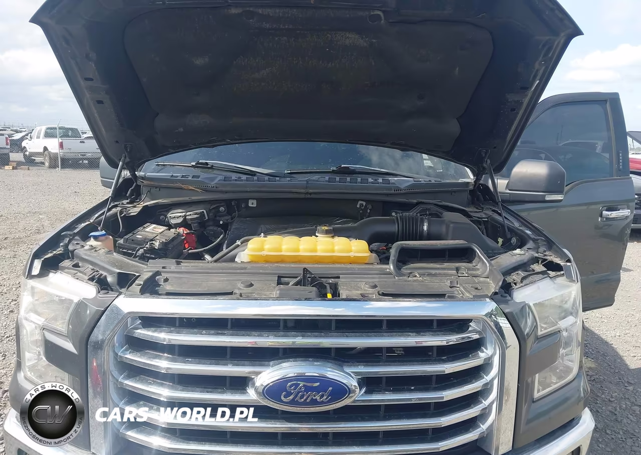 2015 Ford F-150 Xlt VIN:1FTEW1EG6FFB60387 - 10