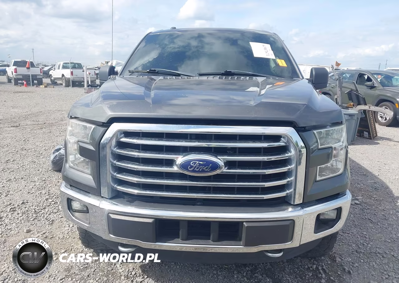 2015 Ford F-150 Xlt VIN:1FTEW1EG6FFB60387 - 12