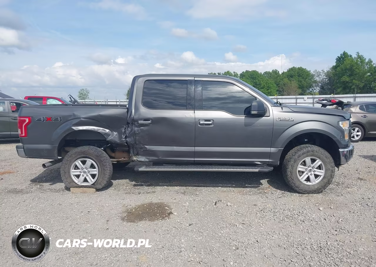 2015 Ford F-150 Xlt VIN:1FTEW1EG6FFB60387 - 13