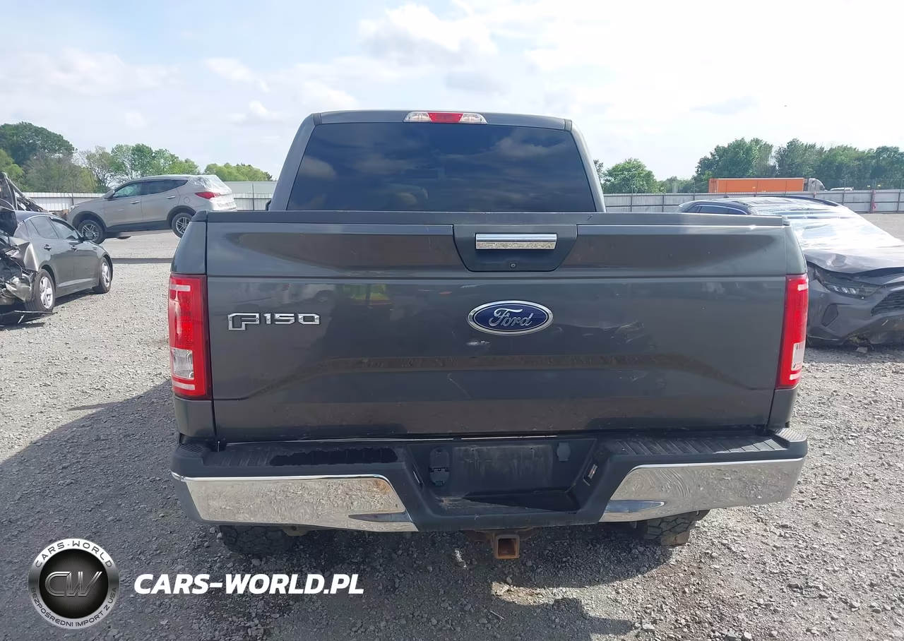 2015 Ford F-150 Xlt VIN:1FTEW1EG6FFB60387 - 16