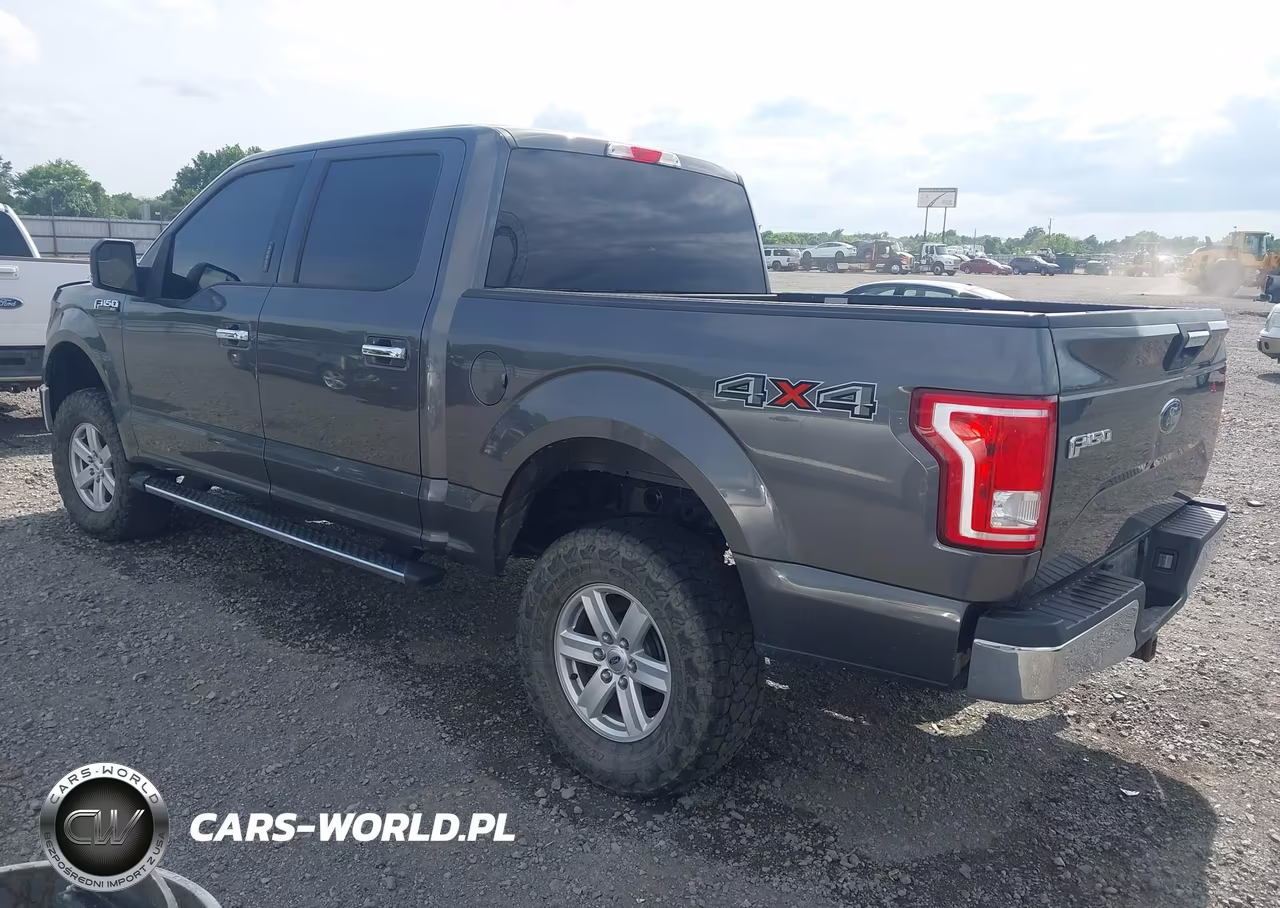 2015 Ford F-150 Xlt VIN:1FTEW1EG6FFB60387 - 3