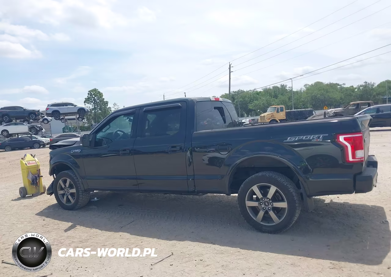 2015 Ford F-150 Xlt VIN:1FTFW1EF2FFA81830 - 15