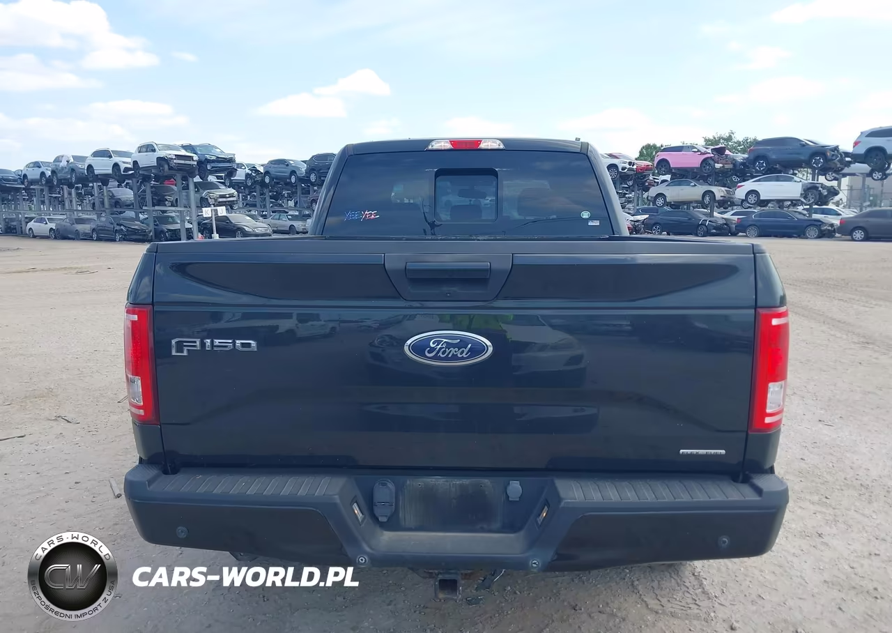 2015 Ford F-150 Xlt VIN:1FTFW1EF2FFA81830 - 17