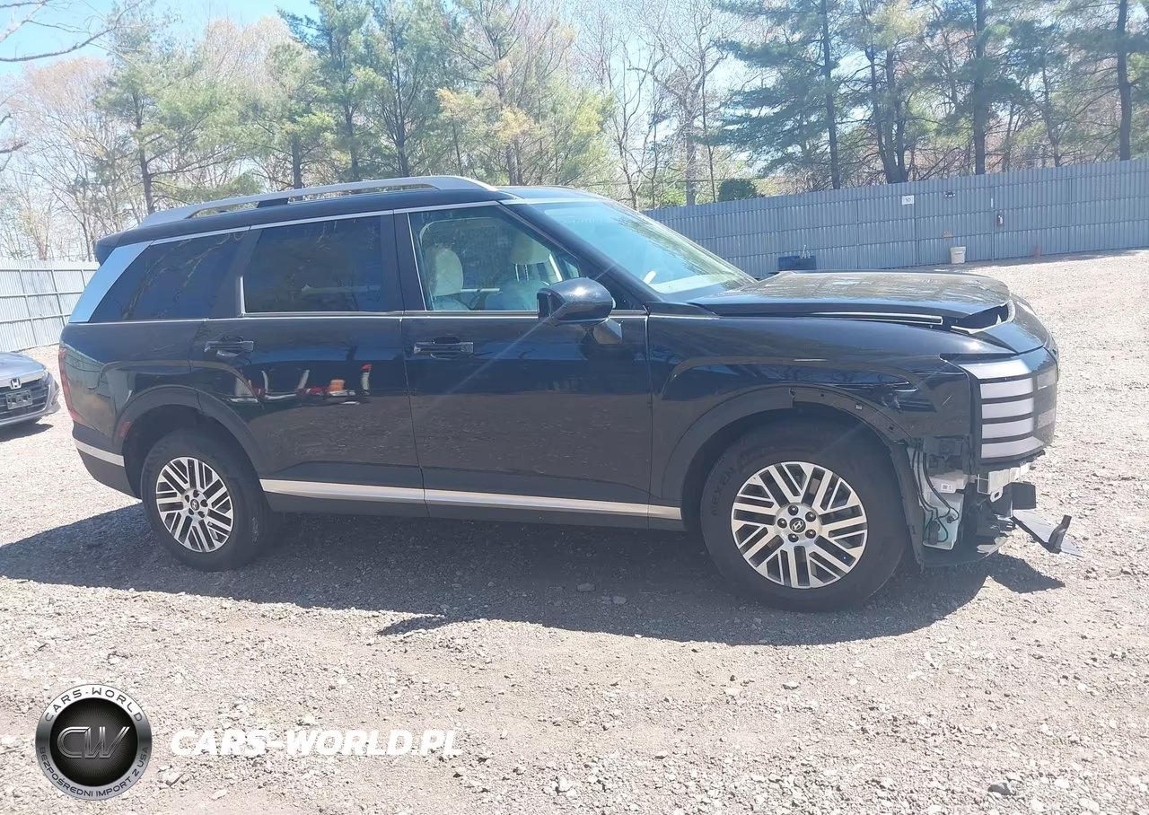 2026 Hyundai Palisade Sel Premium VIN:KM8RNES26TU074195 - 13