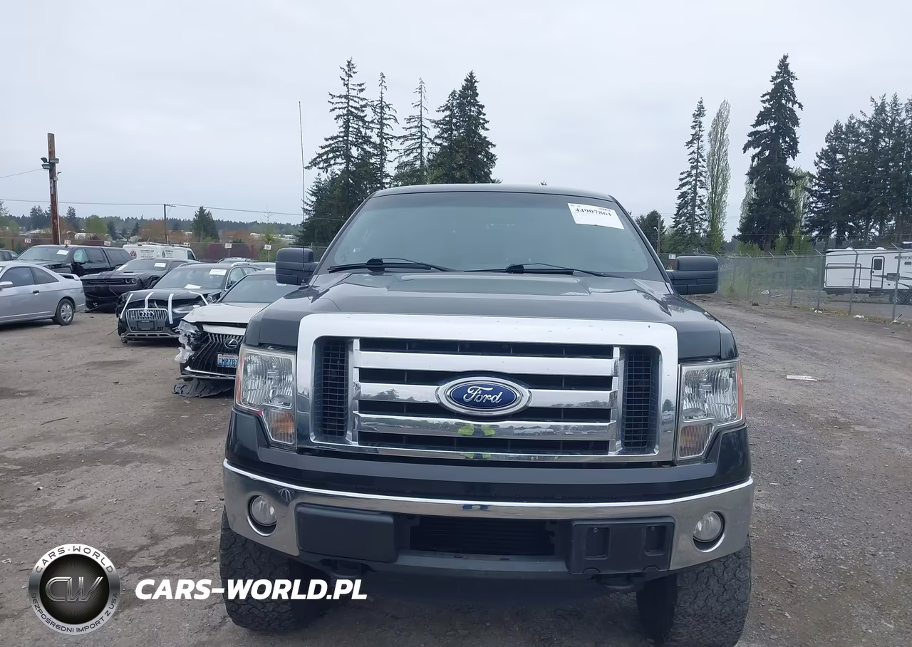 2012 Ford F-150 Xlt VIN:1FTFW1ET6CFB65425 - 12
