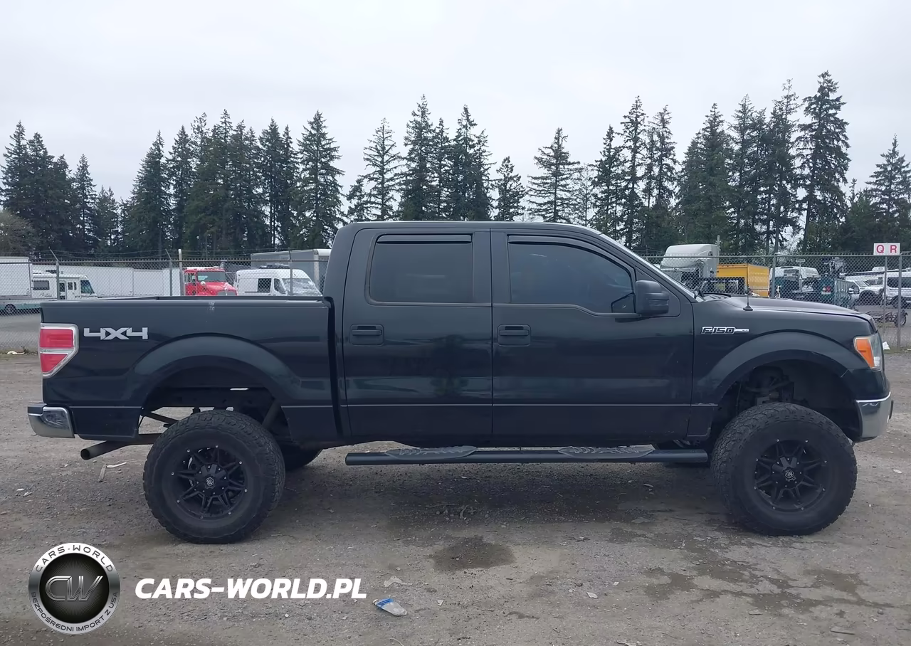 2012 Ford F-150 Xlt VIN:1FTFW1ET6CFB65425 - 13