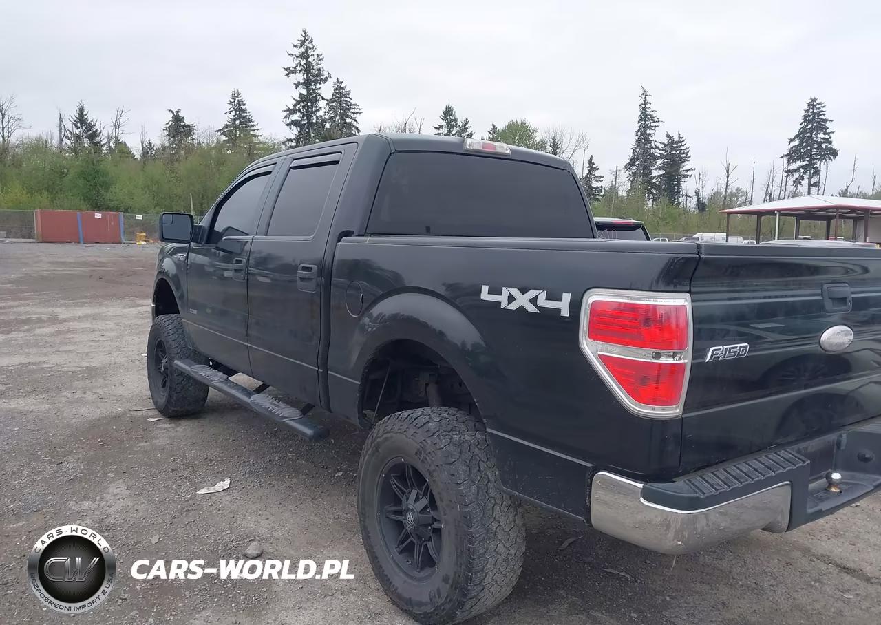 2012 Ford F-150 Xlt VIN:1FTFW1ET6CFB65425 - 3