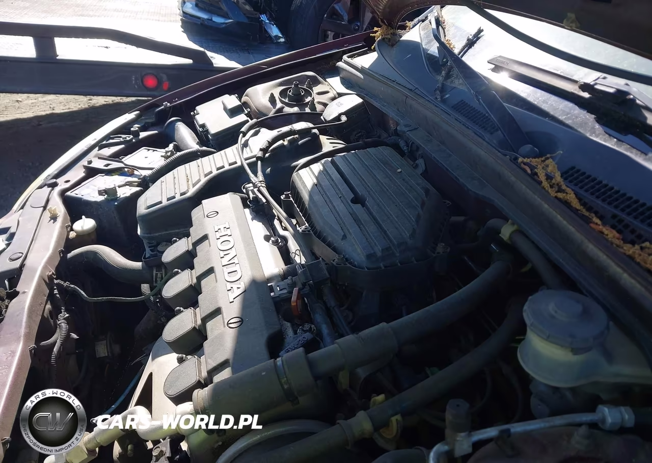 2003 Honda Civic Lx VIN:2HGES16583H571231 - 10