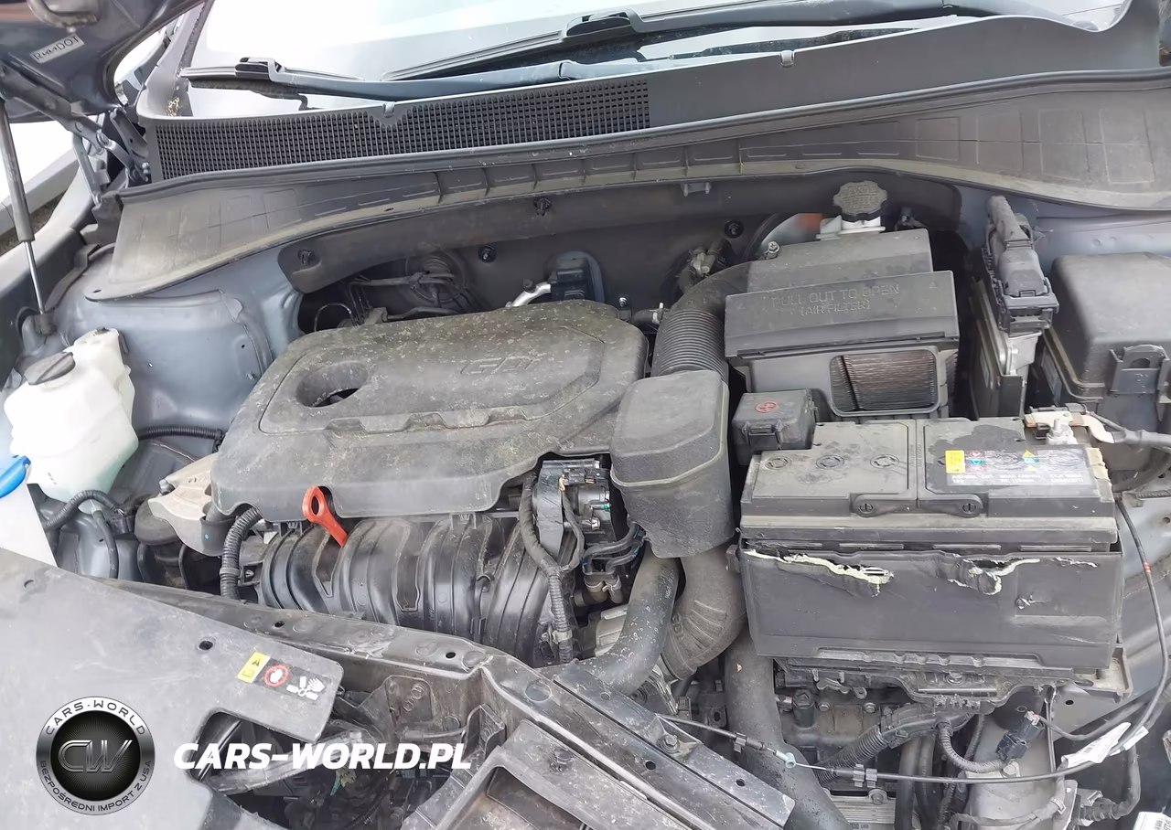2019 Kia Sorento 2.4L Lx VIN:5XYPGDA39KG603133 - 10