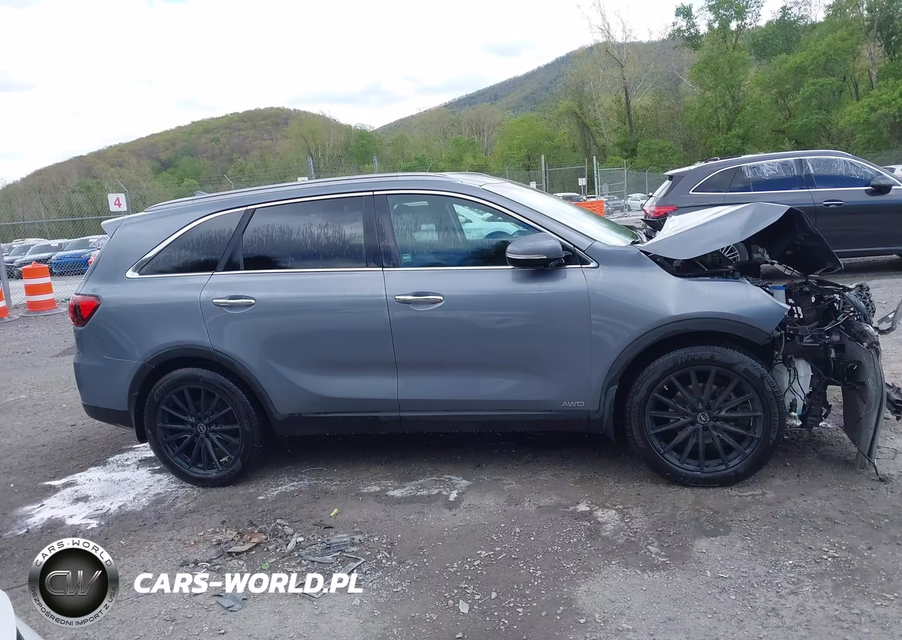 2019 Kia Sorento 2.4L Lx VIN:5XYPGDA39KG603133 - 13