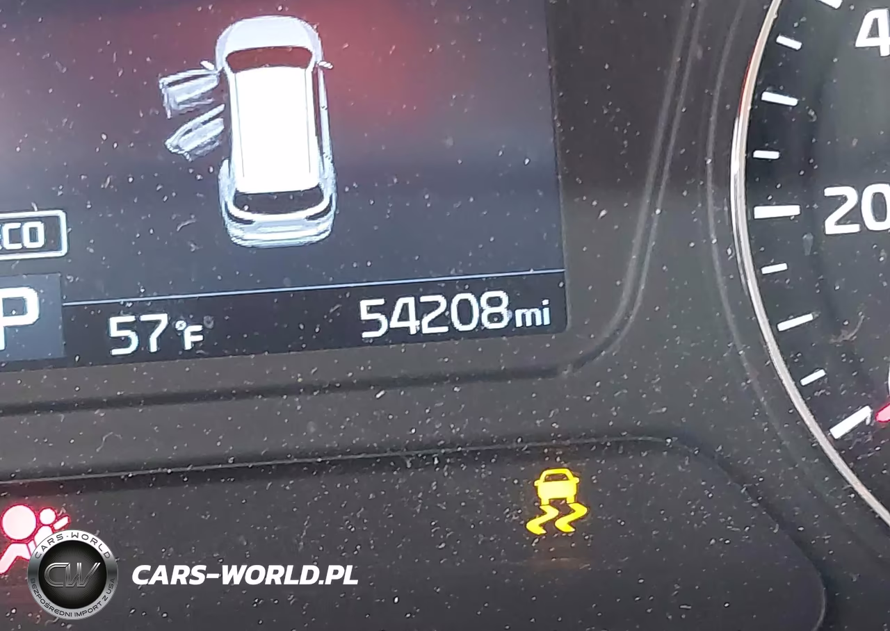 2019 Kia Sorento 2.4L Lx VIN:5XYPGDA39KG603133 - 15