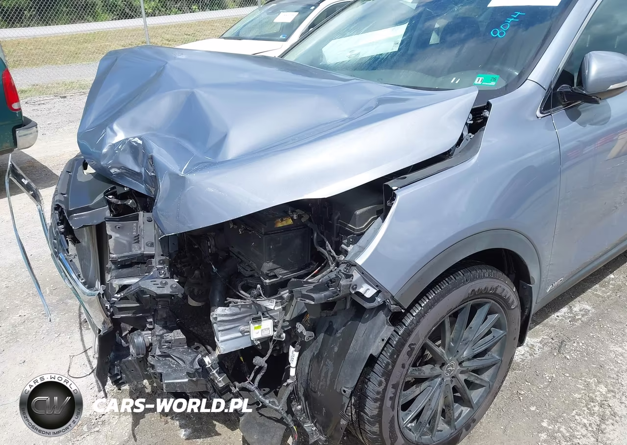 2019 Kia Sorento 2.4L Lx VIN:5XYPGDA39KG603133 - 17