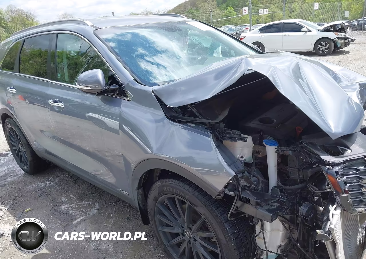 2019 Kia Sorento 2.4L Lx VIN:5XYPGDA39KG603133 - 18