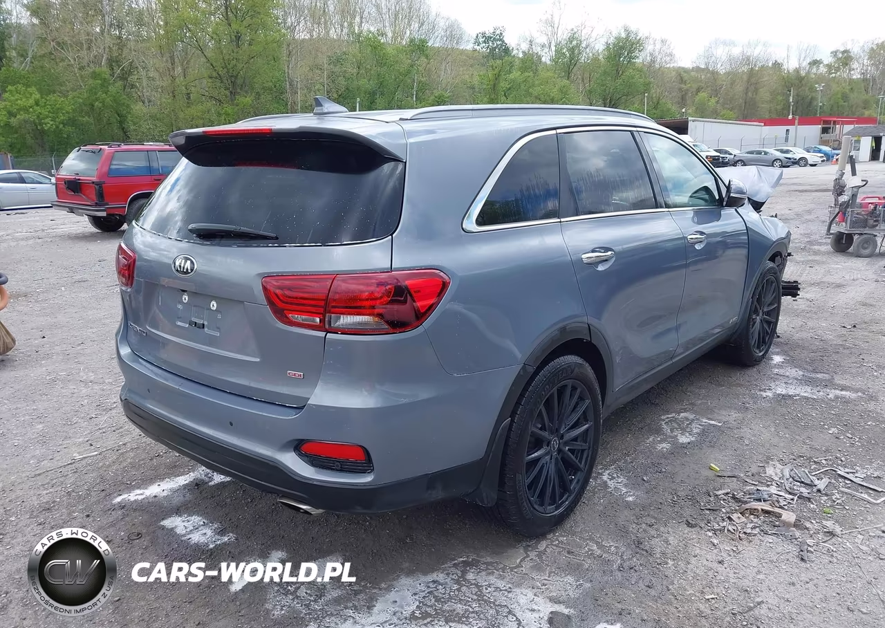 2019 Kia Sorento 2.4L Lx VIN:5XYPGDA39KG603133 - 4