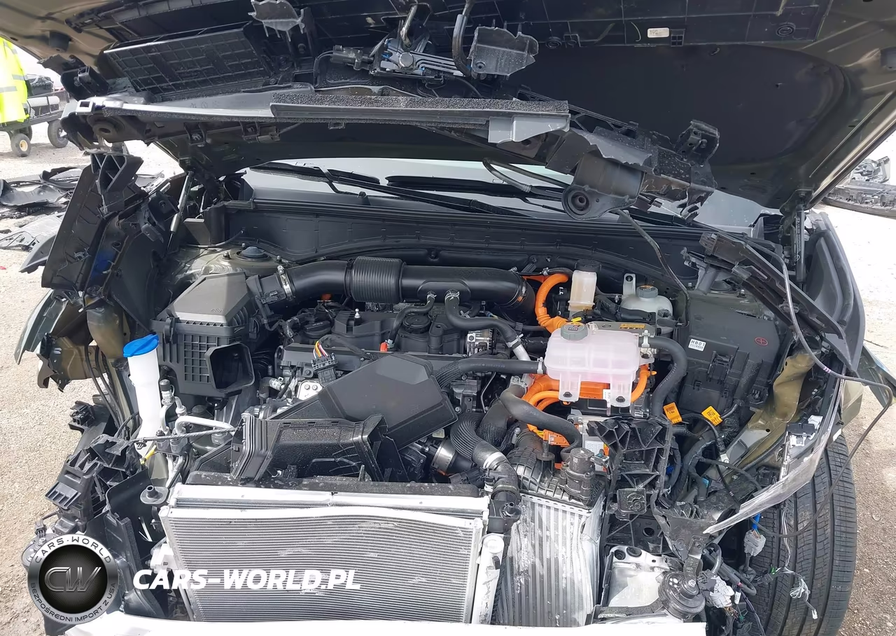 2025 Hyundai Santa Fe Hybrid Calligraphy VIN:5NMP5DG19SH069617 - 10