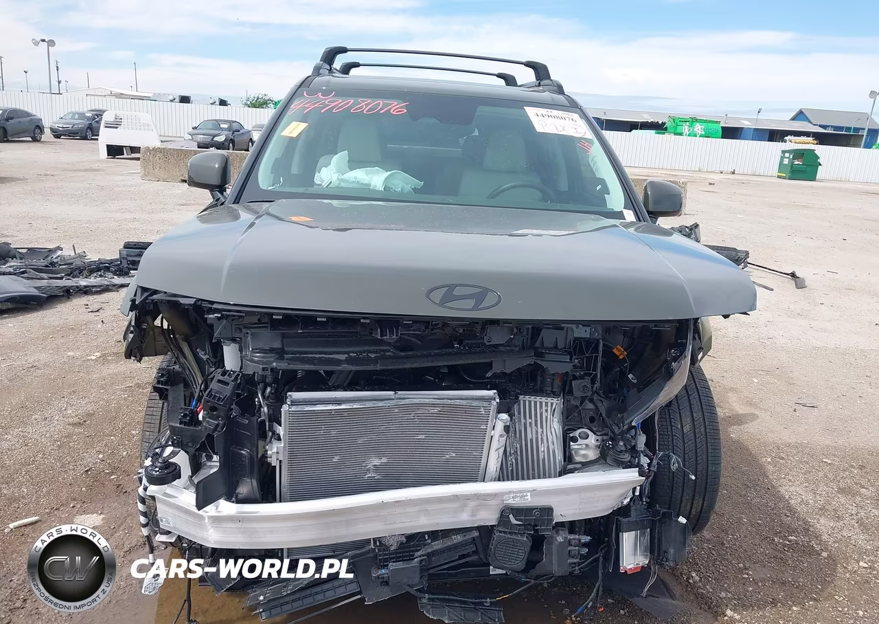 2025 Hyundai Santa Fe Hybrid Calligraphy VIN:5NMP5DG19SH069617 - 13