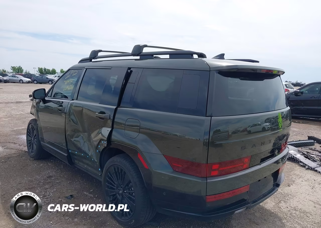 2025 Hyundai Santa Fe Hybrid Calligraphy VIN:5NMP5DG19SH069617 - 3