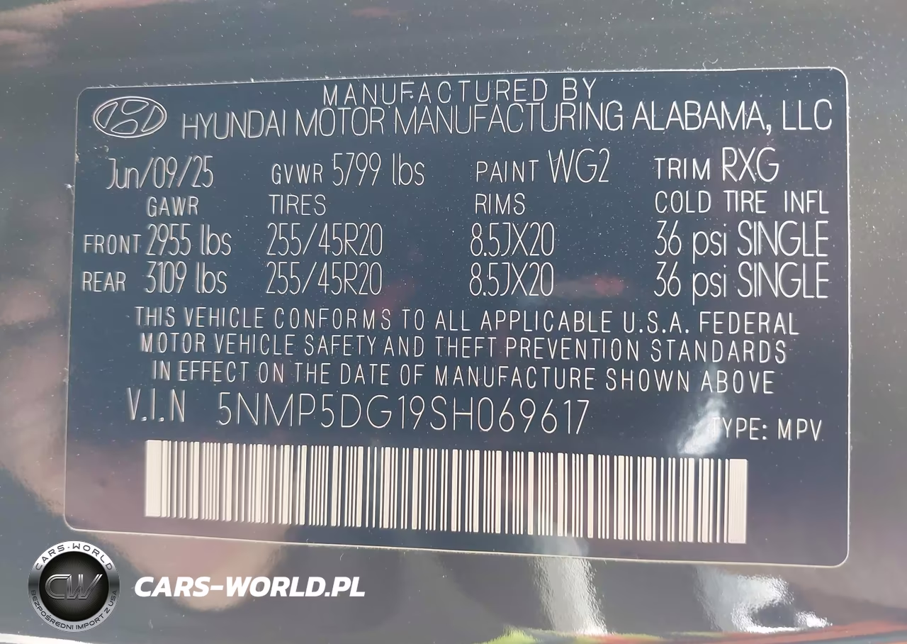 2025 Hyundai Santa Fe Hybrid Calligraphy VIN:5NMP5DG19SH069617 - 9