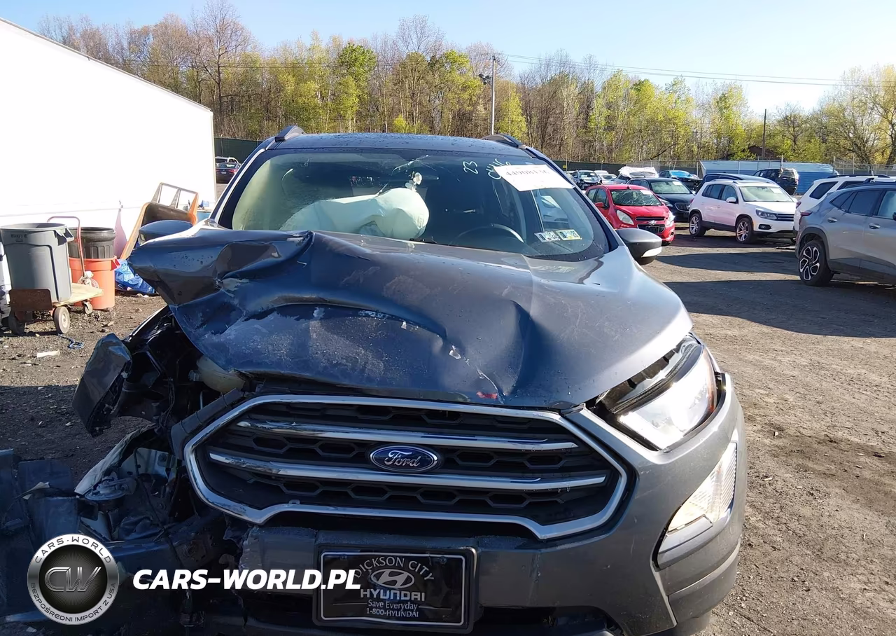 2020 Ford Ecosport Se VIN:MAJ6S3GL2LC387892 - 12