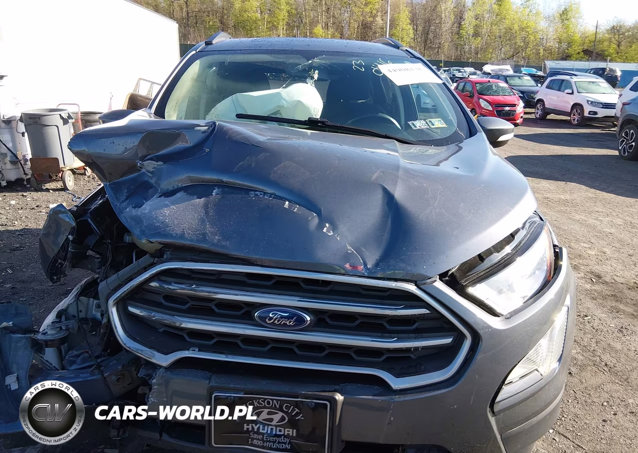 2020 Ford Ecosport Se VIN:MAJ6S3GL2LC387892 - 6
