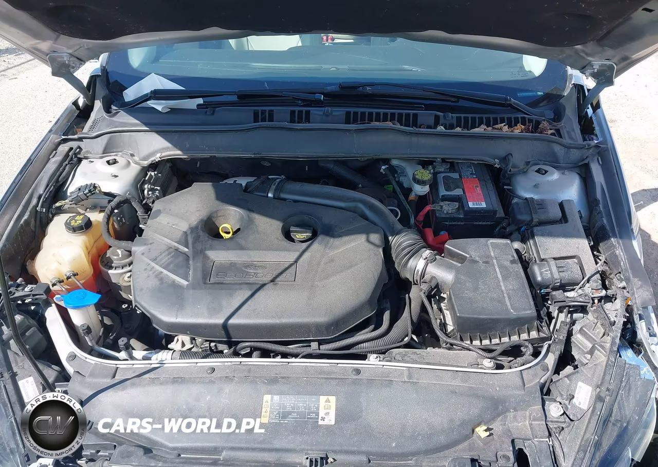 2014 Ford Fusion Titanium VIN:3FA6P0D98ER336216 - 10