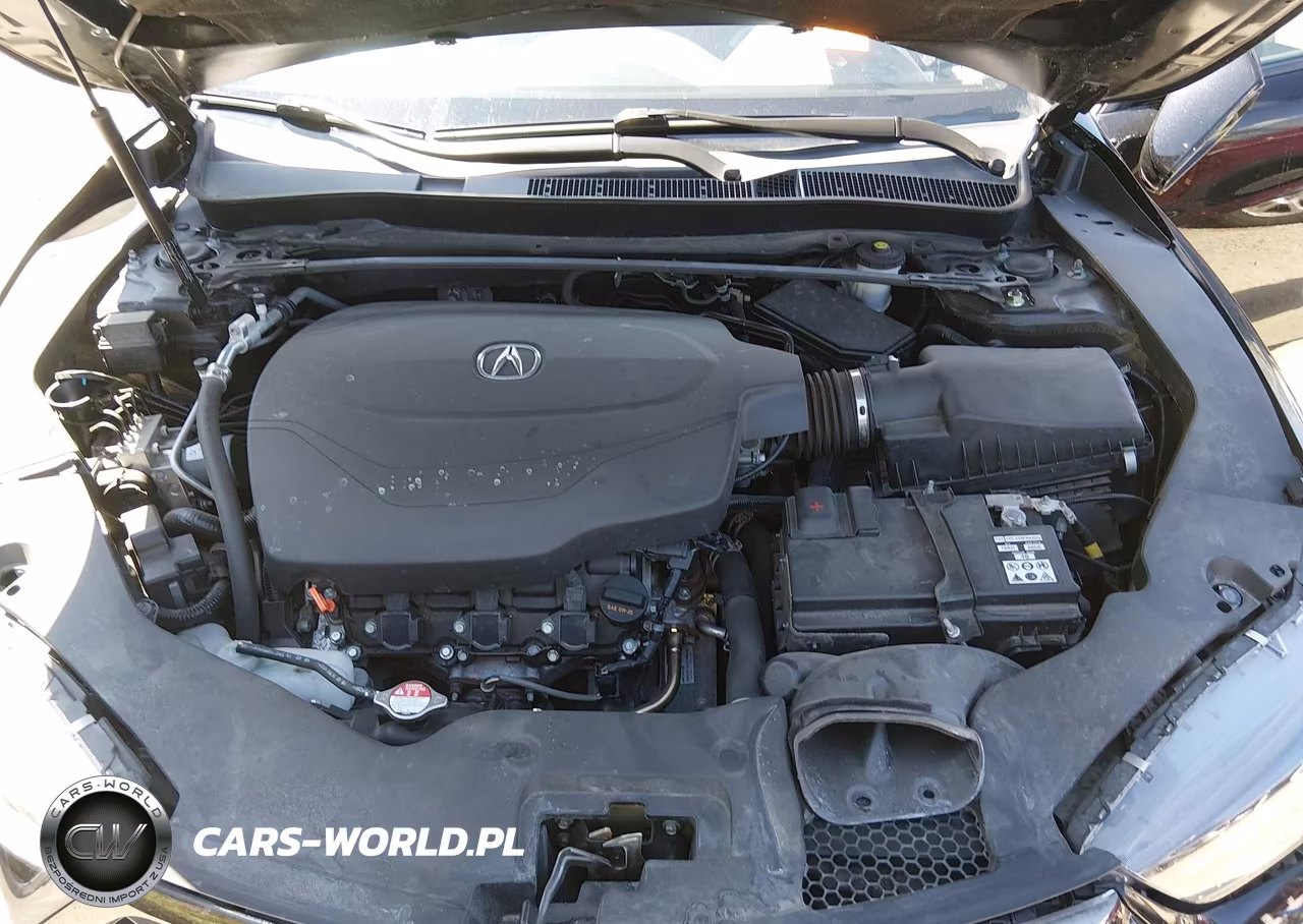 2020 Acura Tlx A-Spec-A-Spec W-Red Leather VIN:19UUB3F65LA003341 - 10