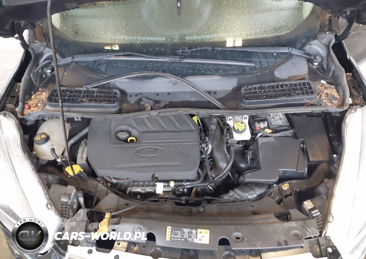 2018 Ford Escape Sel VIN:1FMCU9HD7JUC89476 - 10