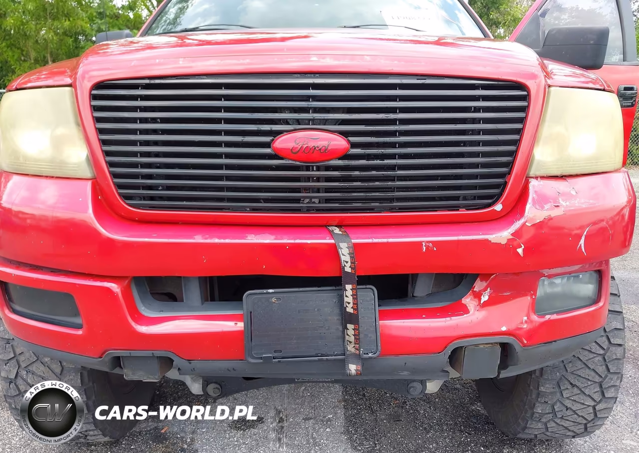 2005 Ford F-150 Fx4-Lariat-Xl-Xlt VIN:1FTPX14545FA62446 - 6