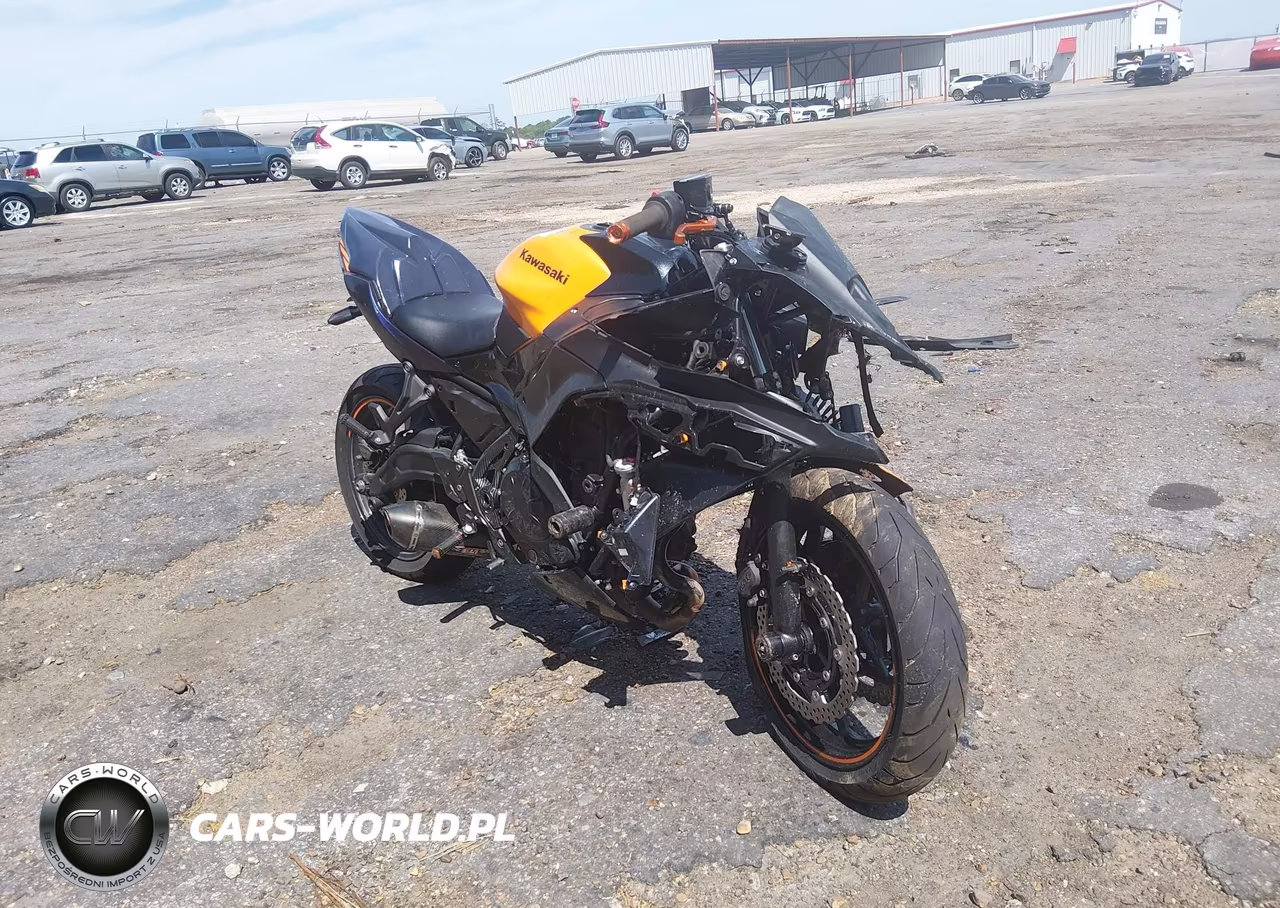 2025 Kawasaki Ex650 P – zdjęcie 1 z 12