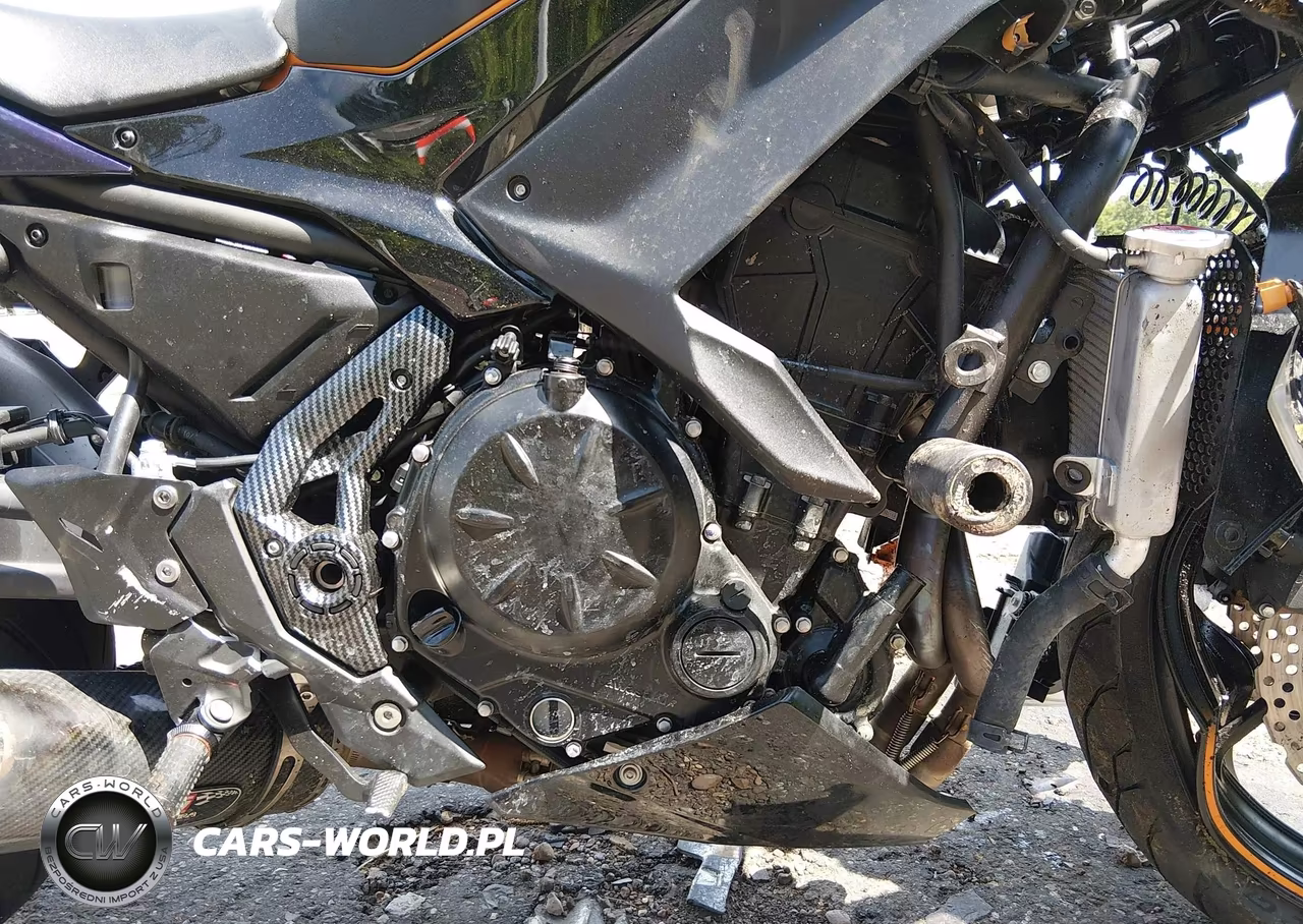 2025 Kawasaki Ex650 P VIN:ML5EXEP13SDAF7066 - 8