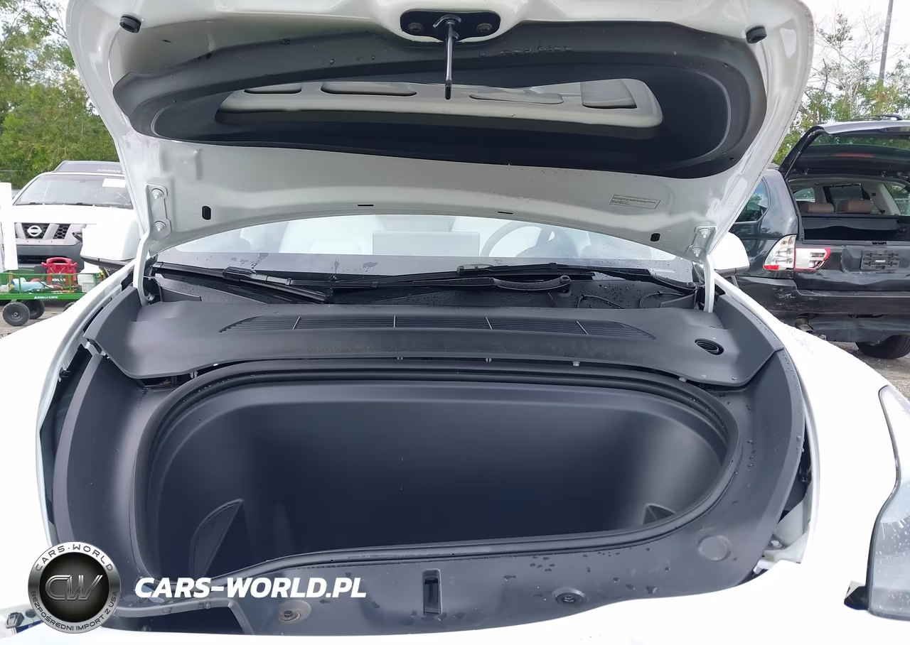 2024 Tesla Model Y Long Range Dual Motor All-Wheel Drive VIN:7SAYGDEE7RA321199 - 10