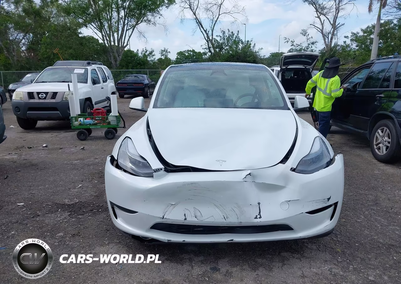 2024 Tesla Model Y Long Range Dual Motor All-Wheel Drive VIN:7SAYGDEE7RA321199 - 12