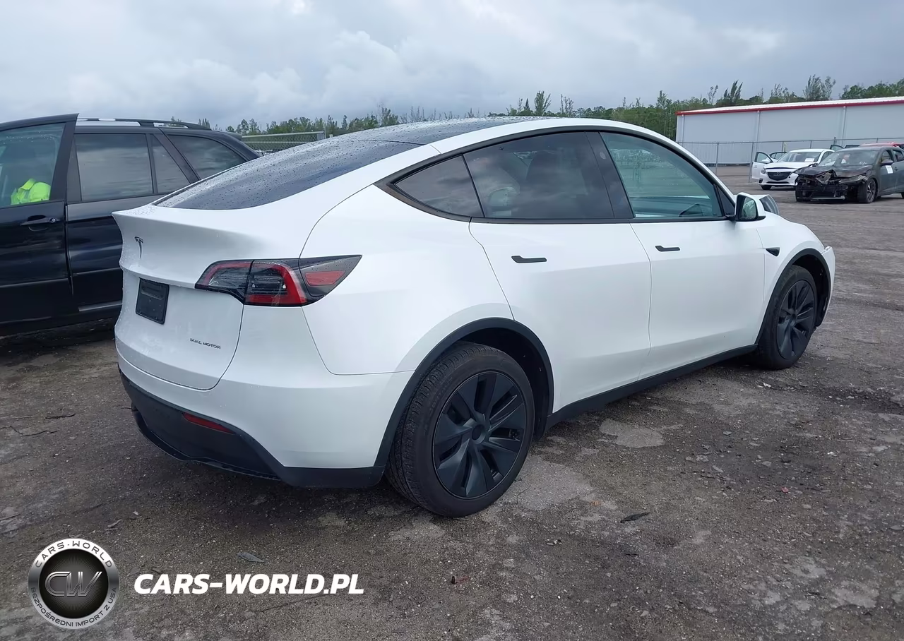2024 Tesla Model Y Long Range Dual Motor All-Wheel Drive VIN:7SAYGDEE7RA321199 - 4