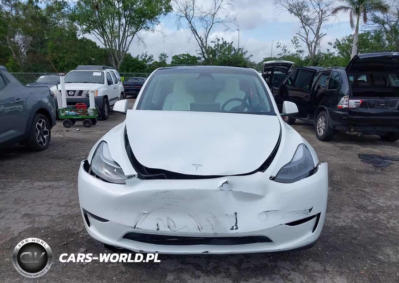 2024 Tesla Model Y Long Range Dual Motor All-Wheel Drive VIN:7SAYGDEE7RA321199 - 6