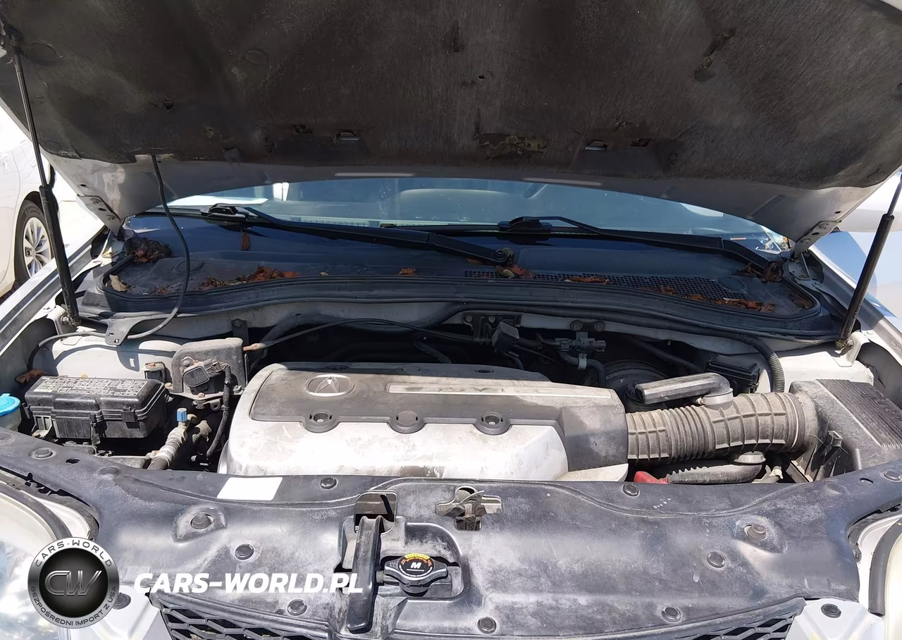 2006 Acura Mdx VIN:2HNYD18866H512819 - 10