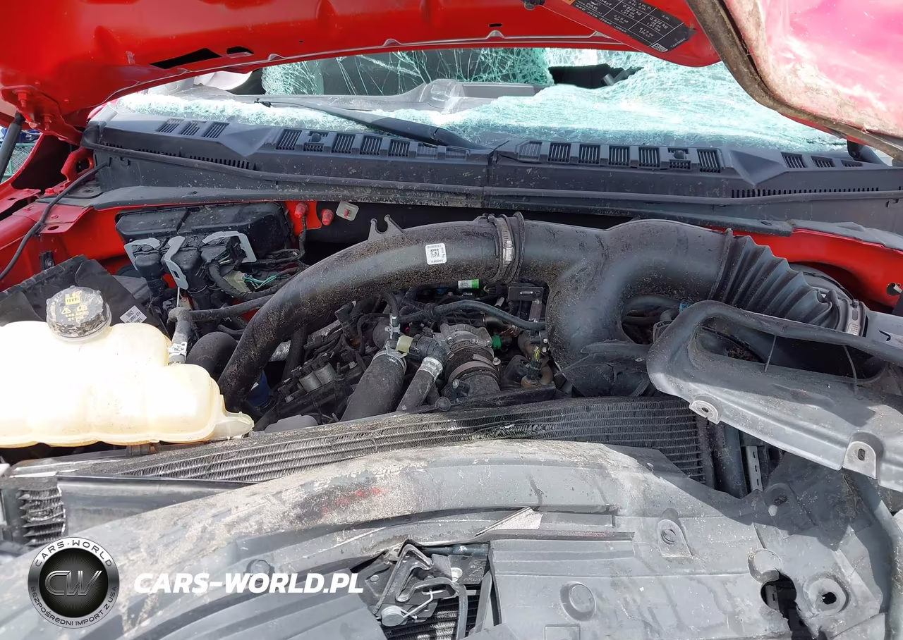 2019 Ford F-150 Xl VIN:1FTEX1CP2KFA08598 - 10