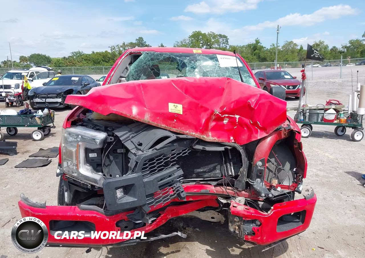 2019 Ford F-150 Xl VIN:1FTEX1CP2KFA08598 - 12