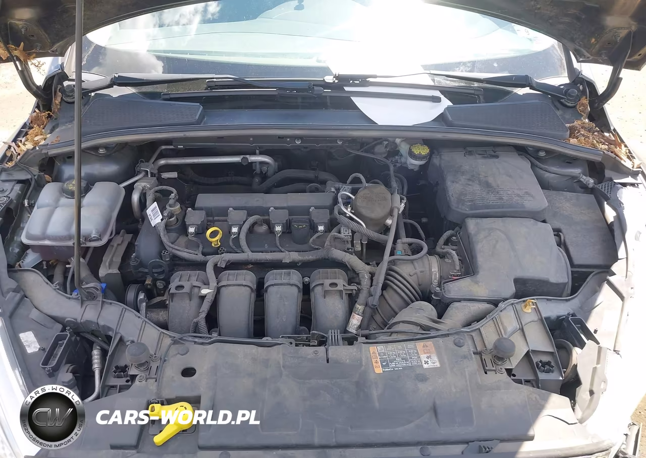 2016 Ford Focus Se VIN:1FADP3F21GL273339 - 10