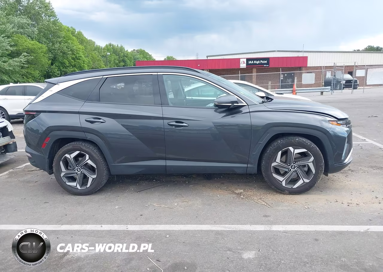 2023 Hyundai Tucson Limited VIN:5NMJE3AE6PH198501 - 13
