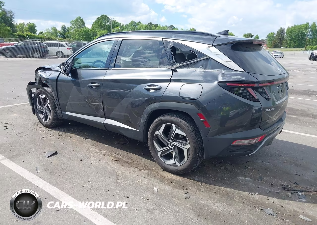2023 Hyundai Tucson Limited VIN:5NMJE3AE6PH198501 - 3
