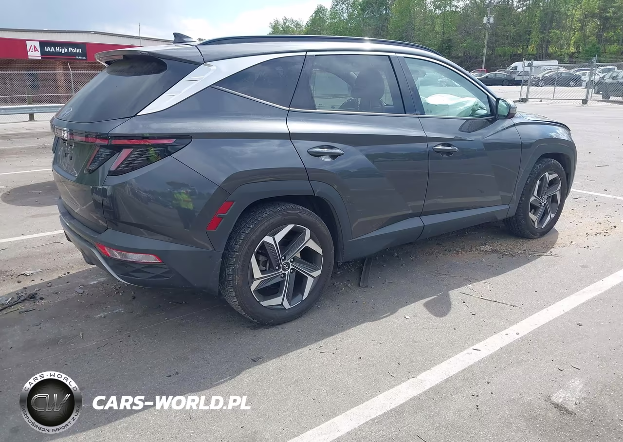 2023 Hyundai Tucson Limited VIN:5NMJE3AE6PH198501 - 4