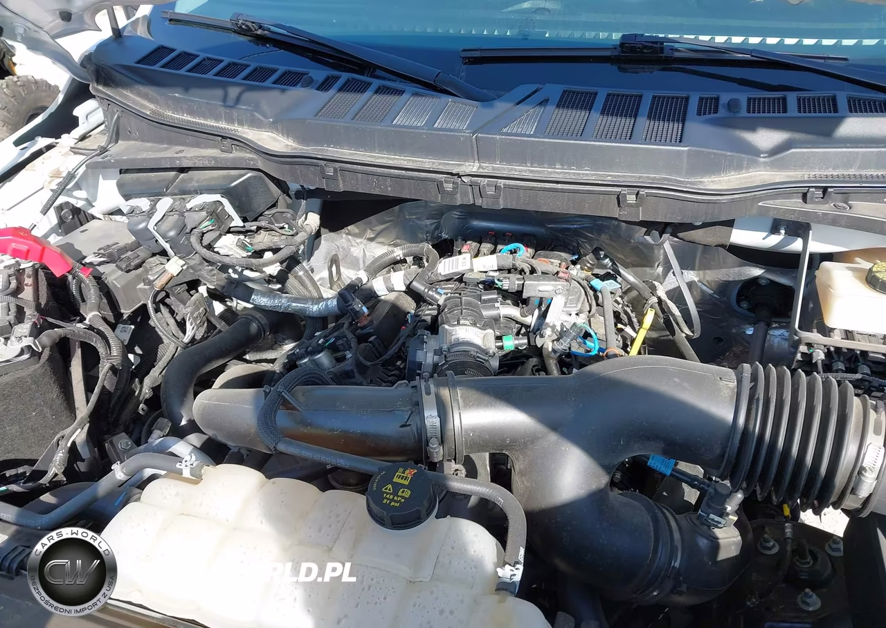 2024 Ford F-150 Xl VIN:1FTEX1KP8RKD45988 - 10