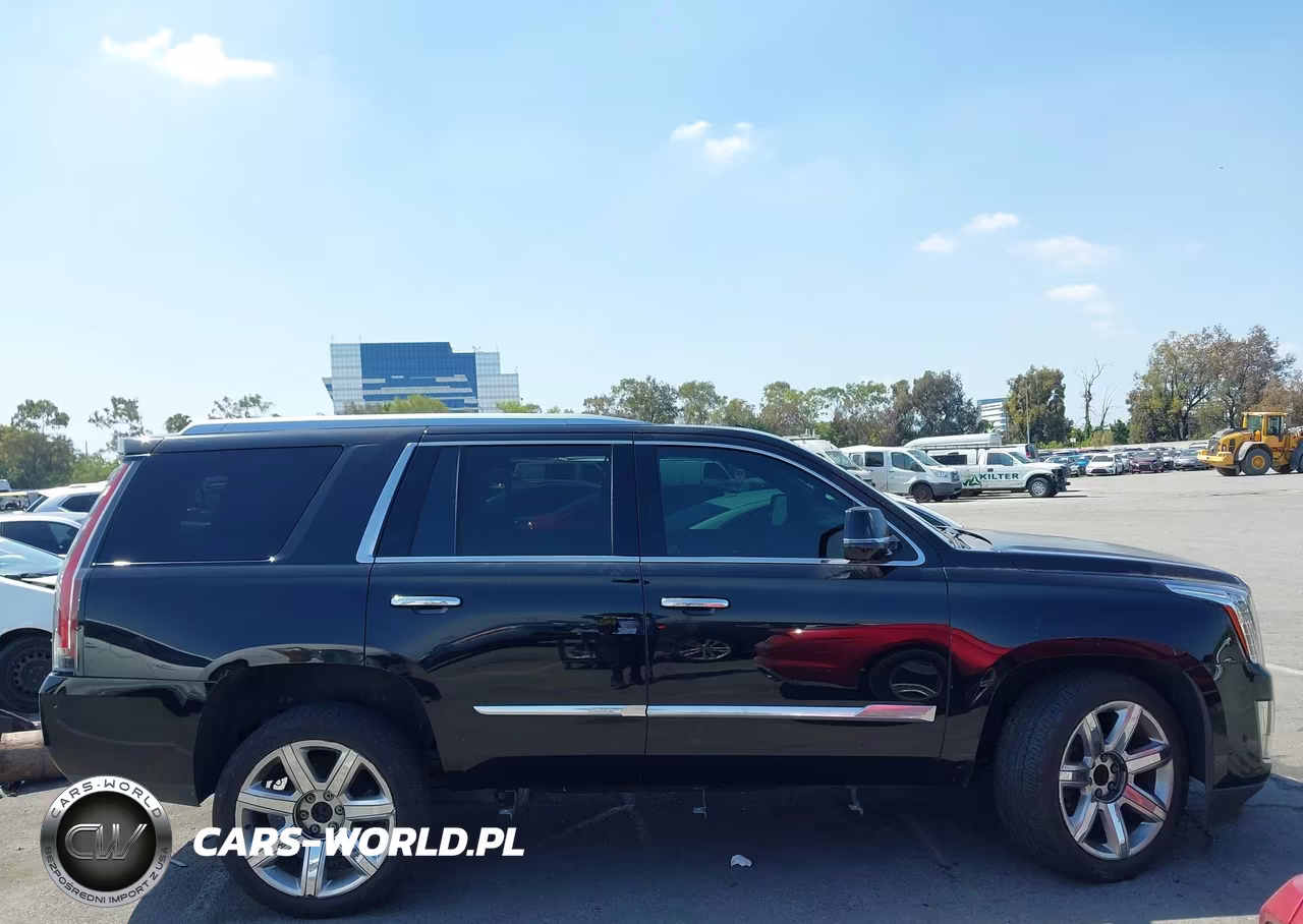 2017 Cadillac Escalade Luxury VIN:1GYS3BKJ9HR286420 - 12
