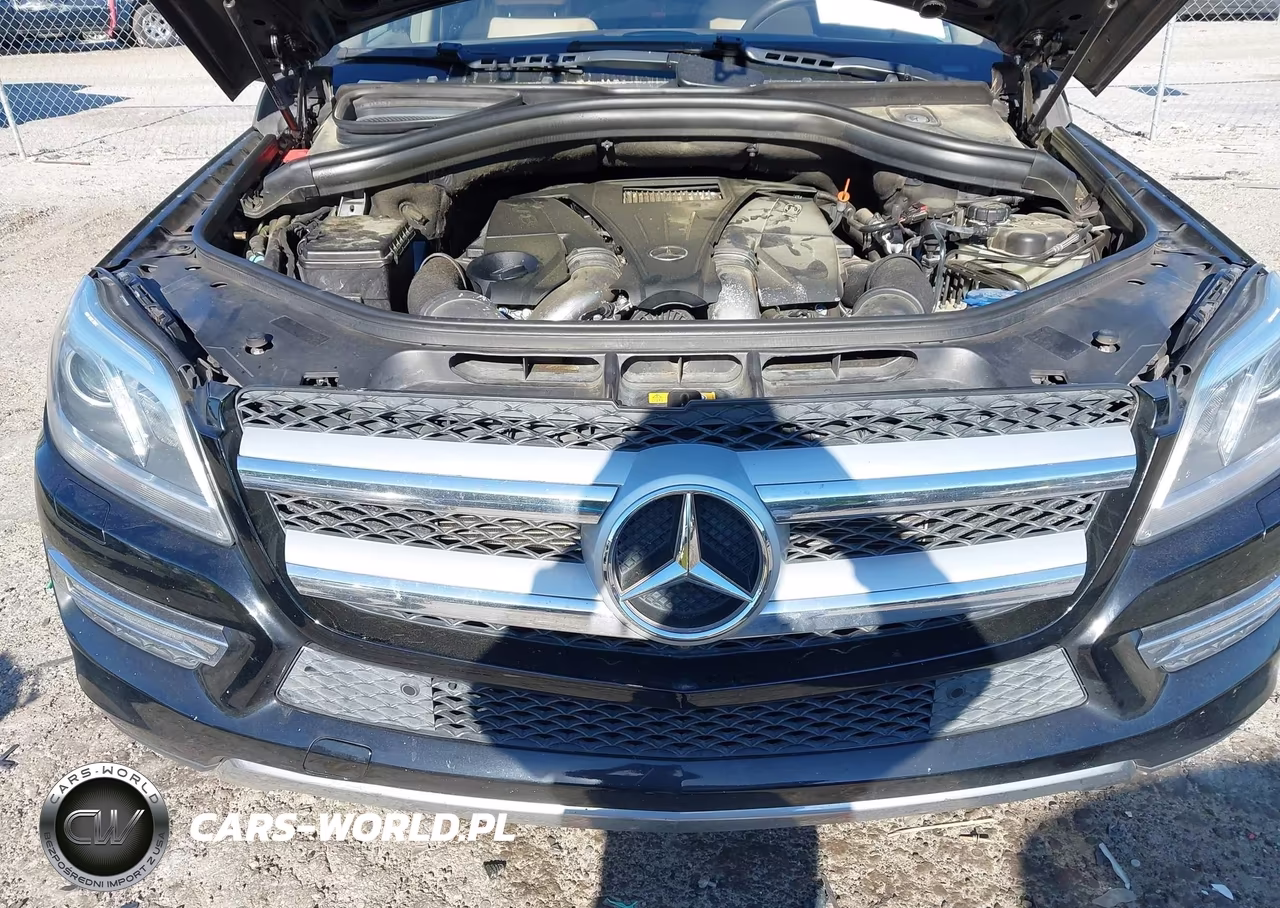 2014 Mercedes-Benz Gl 450 4Matic VIN:4JGDF7CE7EA389569 - 10