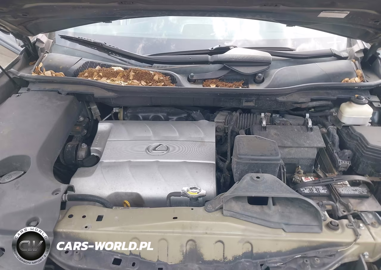 2010 Lexus Rx 350 VIN:2T2ZK1BA1AC013050 - 10