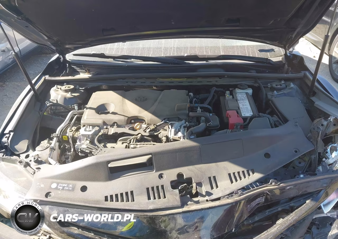 2020 Toyota Camry Se VIN:4T1M11AKXLU986523 - 10