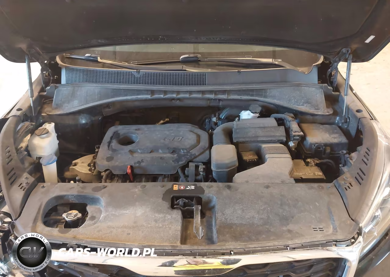2020 Kia Sorento 2.4L Lx VIN:5XYPG4A36LG698977 - 10