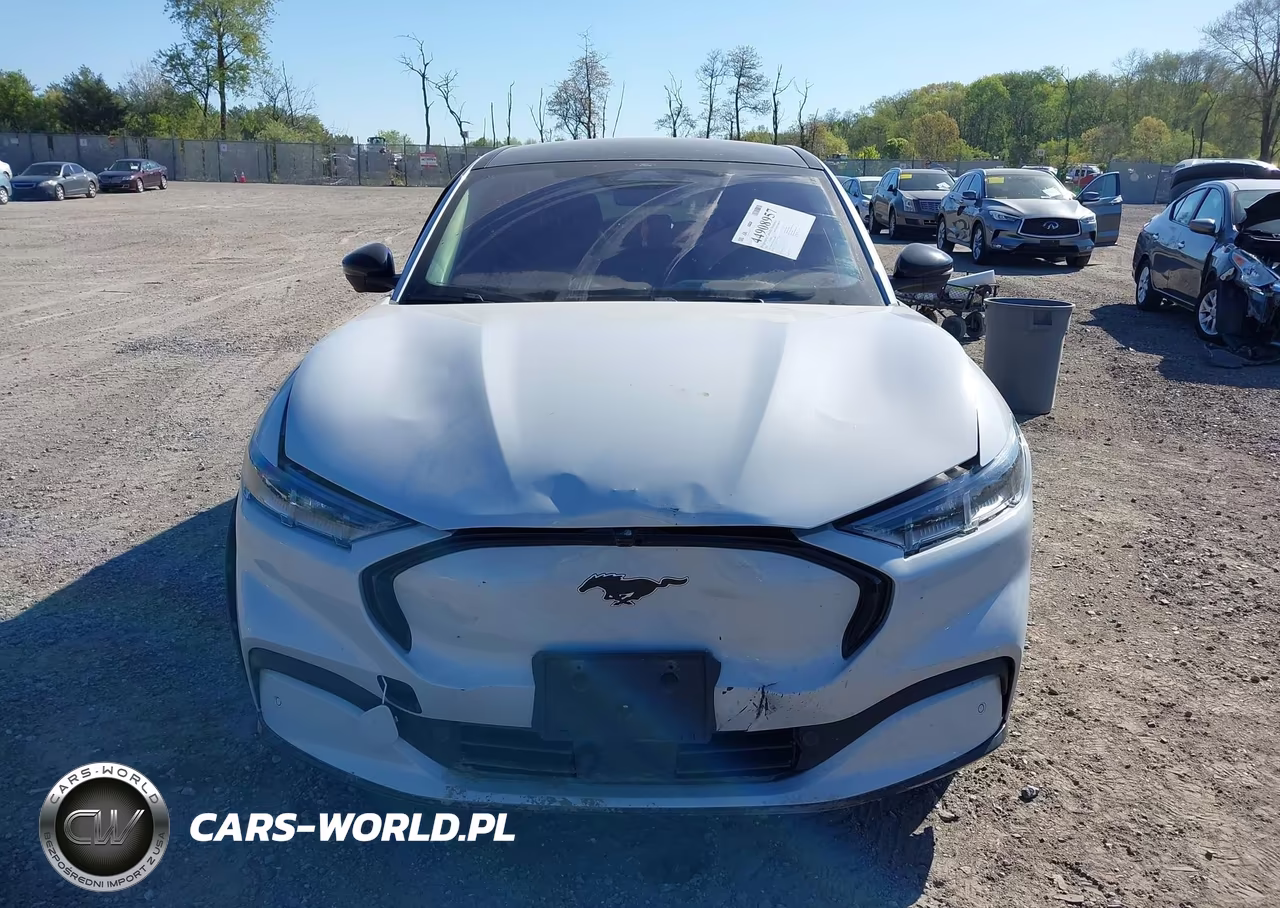 2022 Ford Mustang Mach-E Premium VIN:3FMTK3SSXNMA16603 - 12