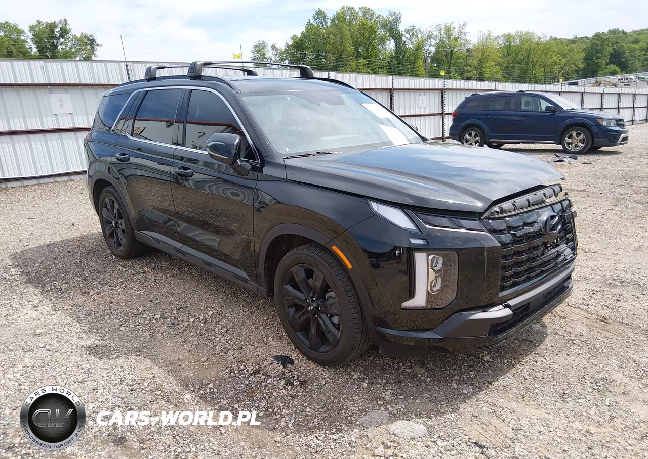 2023 Hyundai Palisade Xrt VIN:KM8R3DGE5PU635947 - 1