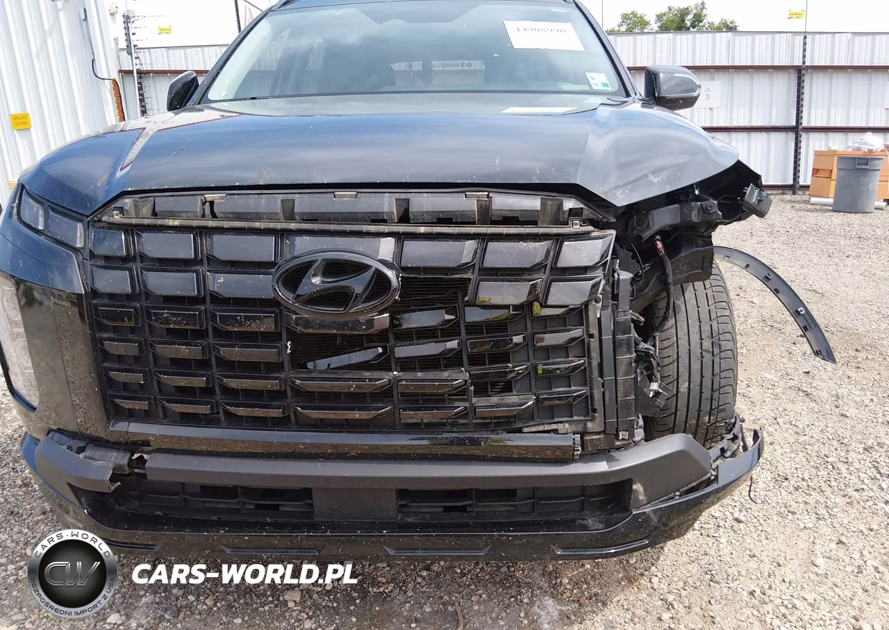 2023 Hyundai Palisade Xrt VIN:KM8R3DGE5PU635947 - 17